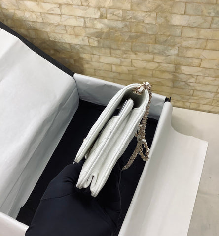 2023 Luxury CC chain Handbag