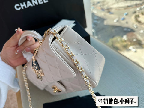 2023 CC handbag -185