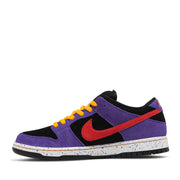 NIKE SB DUNK LOW ACG TERRA 2020 (NEW) -