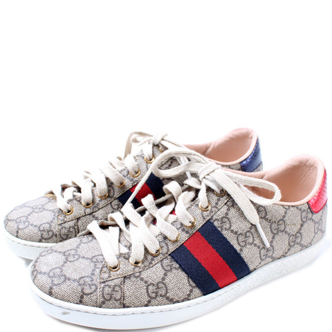 Ace Web GG Supreme Sneakers Size 38