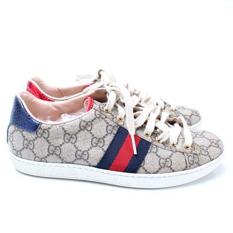 Ace Web GG Supreme Sneakers Size 38