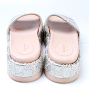 GG Canvas Platform Slides Size 37