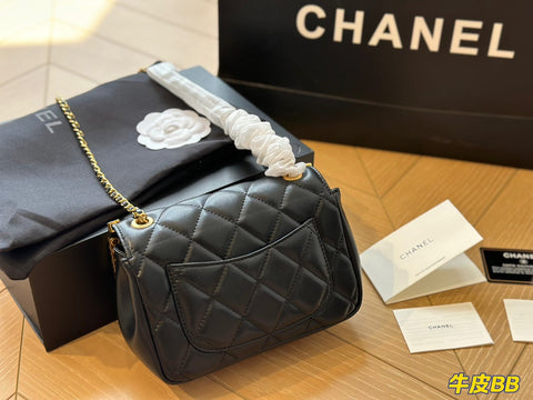 2023 CC handbag -235