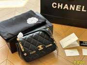 2023 CC handbag -235