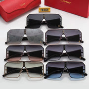 Ladies Fashion Classic Sunglasses