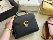 2023 COA handbag -198