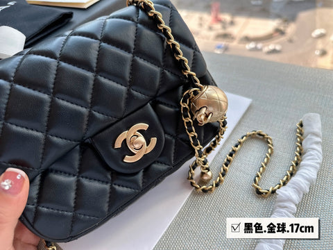 2023 CC handbag -107