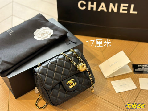 2023 CC handbag -236