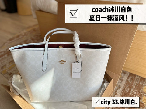 2023 COA handbag -179