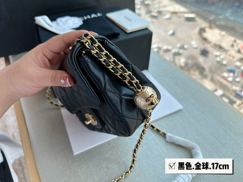 2023 CC handbag -107