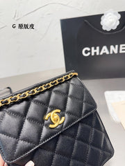 2023 CC handbag -227