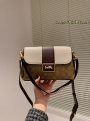 2023 coa handbag -133