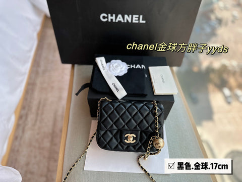 2023 CC handbag -107