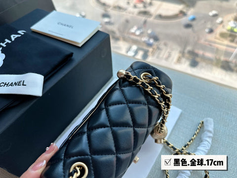 2023 CC handbag -107