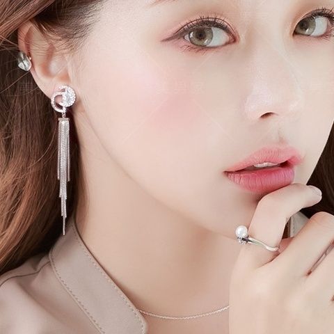 2022 tassel long zircon earrings