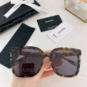 3 COLORS GCLASSIC SUNGLASSES