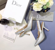 Dior silver