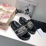 Dior slides