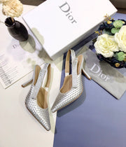 Dior silver