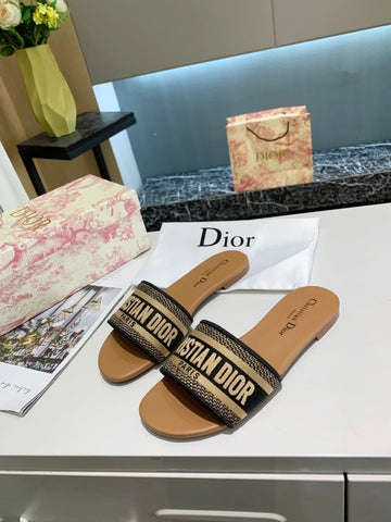 Dior slides