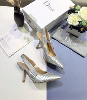 Dior silver